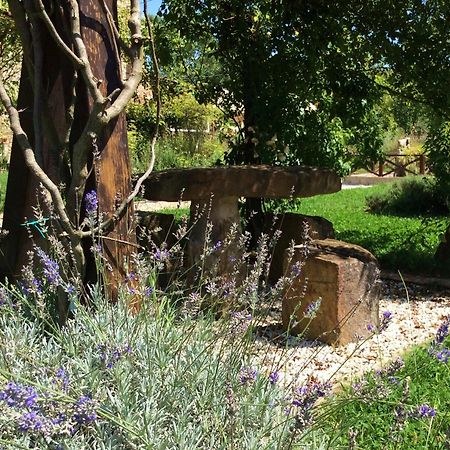 Pietrafitta  Abbazia Sette Frati Agriturismo Fratres חדר תמונה