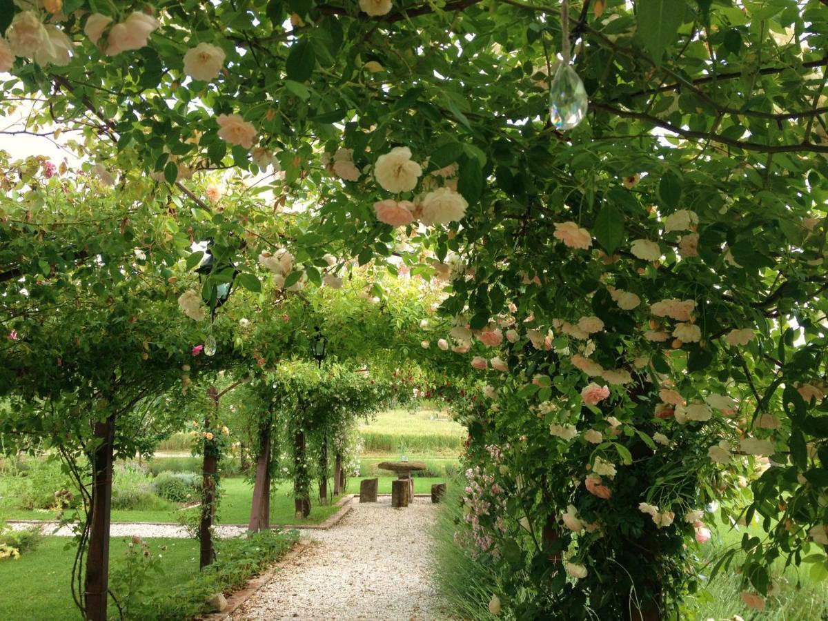 Pietrafitta  Abbazia Sette Frati Agriturismo Fratres חדר תמונה